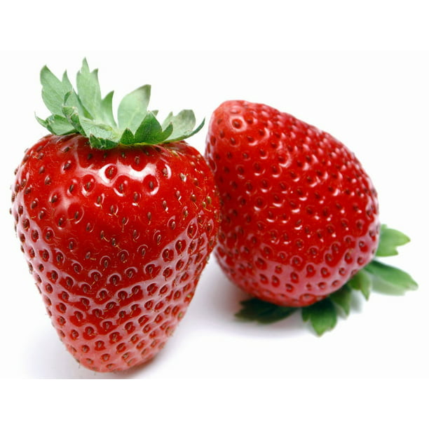 30 Super Sweet Strawberry Everbearing Plant Seeds